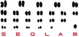 Logo-Design in Form von Chromosomen-Paaren