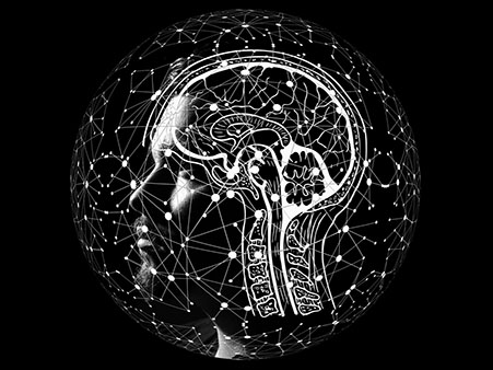Illustration eines menschlichen Kopfes mit eingezeichnetem Gehirn