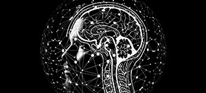 Illustration eines menschlichen Kopfes mit eingezeichnetem Gehirn